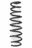 SPIDAN 85541 Coil Spring